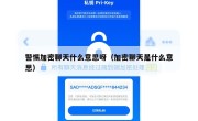 警惕加密聊天什么意思呀（加密聊天是什么意思）