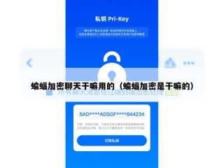 蝙蝠加密聊天干嘛用的（蝙蝠加密是干嘛的）