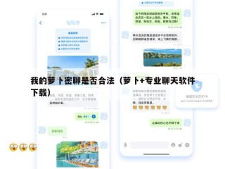 我的萝卜密聊是否合法（萝卜+专业聊天软件下载）