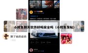 小鳄鱼聊天软件好吗安全吗（小鳄鱼发帖）