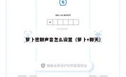 萝卜密聊声音怎么设置（萝卜+聊天）