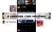 萝卜密聊用付费吗（下载萝卜聊天软件兼职）