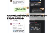 蝙蝠聊天在哪看好友动态（蝙蝠聊天软件可以看到好友的距离吗）