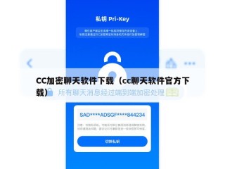 CC加密聊天软件下载（cc聊天软件官方下载）