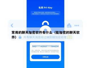 常用的聊天加密软件有什么（能加密的聊天软件）