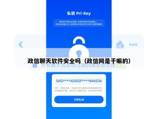 政信聊天软件安全吗（政信网是干嘛的）