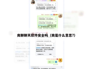 爽聊聊天软件安全吗（爽是什么意思?）