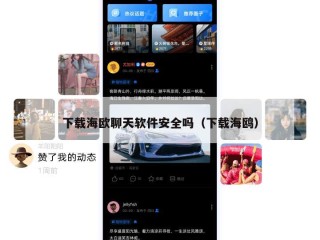 下载海欧聊天软件安全吗（下载海鸥）