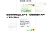 蝙蝠聊天软件怎么没声音（蝙蝠聊天软件为什么发不出信息）