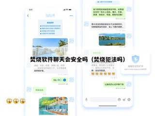 焚烧软件聊天会安全吗（焚烧犯法吗）