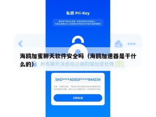 海鸥加蜜聊天软件安全吗（海鸥加速器是干什么的）