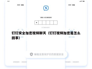 钉钉安全加密视频聊天（钉钉视频加密是怎么回事）
