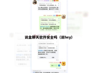 说盒聊天软件安全吗（说hey）