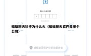 蝙蝠聊天软件为什么火（蝙蝠聊天软件是哪个公司）