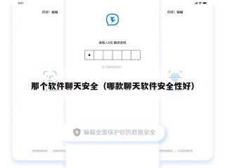 那个软件聊天安全（哪款聊天软件安全性好）