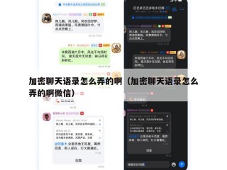 加密聊天语录怎么弄的啊（加密聊天语录怎么弄的啊微信）