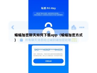 蝙蝠加密聊天如何下载app（蝙蝠加密方式）