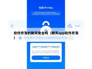 软件开发的聊天安全吗（聊天app软件开发）