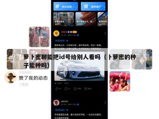 萝卜密聊能把id号给别人看吗（卜萝密的种子能种吗）