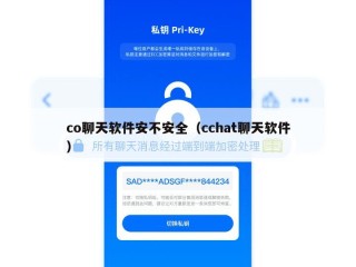 co聊天软件安不安全（cchat聊天软件）