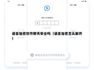 语音加密软件聊天安全吗（语音加密怎么解开）