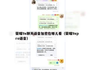 荣耀9x聊天语音加密在哪儿看（荣耀9xpro语音）