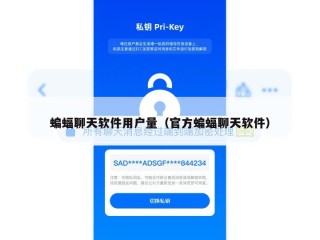 蝙蝠聊天软件用户量（官方蝙蝠聊天软件）