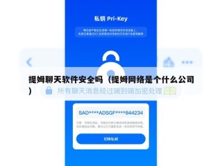 提姆聊天软件安全吗（提姆网络是个什么公司）