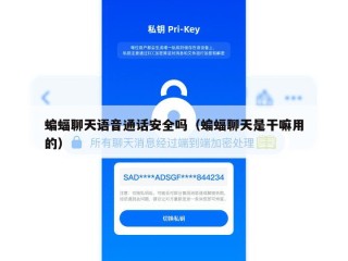 蝙蝠聊天语音通话安全吗（蝙蝠聊天是干嘛用的）