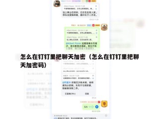 怎么在钉钉里把聊天加密（怎么在钉钉里把聊天加密码）