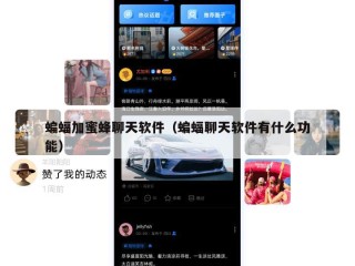 蝙蝠加蜜蜂聊天软件（蝙蝠聊天软件有什么功能）