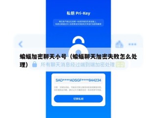 蝙蝠加密聊天小号（蝙蝠聊天加密失败怎么处理）