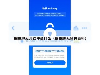 蝙蝠聊天儿软件是什么（蝙蝠聊天软件百科）