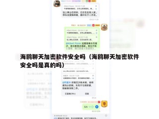 海鸥聊天加密软件安全吗（海鸥聊天加密软件安全吗是真的吗）