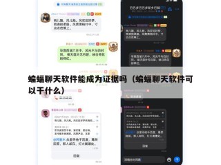 蝙蝠聊天软件能成为证据吗（蝙蝠聊天软件可以干什么）