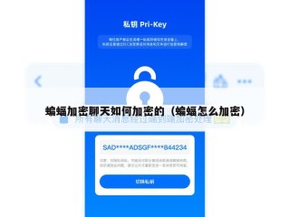 蝙蝠加密聊天如何加密的（蝙蝠怎么加密）