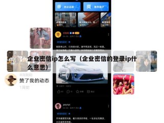 企业密信ip怎么写（企业密信的登录ip什么意思）