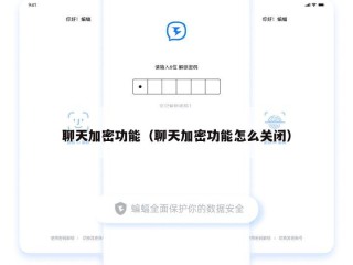 聊天加密功能（聊天加密功能怎么关闭）