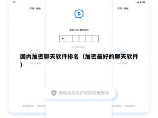 国内加密聊天软件排名（加密最好的聊天软件）