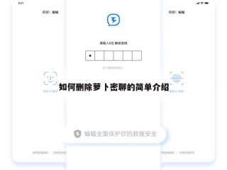 如何删除萝卜密聊的简单介绍