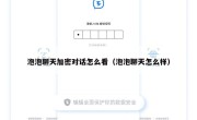 泡泡聊天加密对话怎么看（泡泡聊天怎么样）