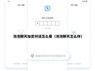 泡泡聊天加密对话怎么看（泡泡聊天怎么样）