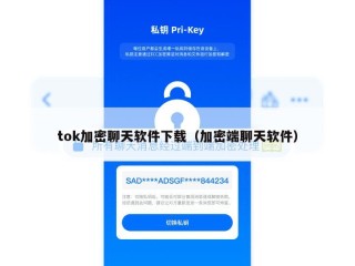 tok加密聊天软件下载（加密端聊天软件）