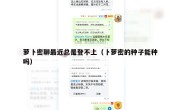 萝卜密聊最近总是登不上（卜萝密的种子能种吗）