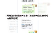 蝙蝠怎么解密聊天记录（蝙蝠聊天怎么删除对方聊天记录）