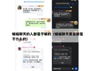 蝙蝠聊天的人都是干嘛的（蝙蝠聊天里面都是干什么的）