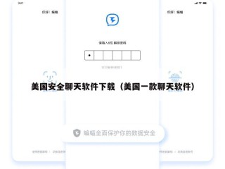 美国安全聊天软件下载（美国一款聊天软件）