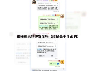 维秘聊天软件安全吗（维秘是干什么的）