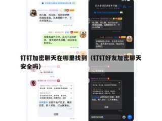 钉钉加密聊天在哪里找到（钉钉好友加密聊天安全吗）