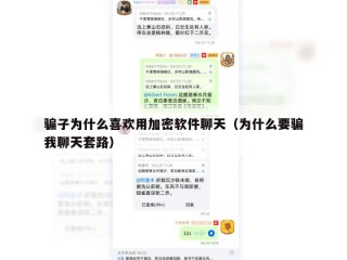 骗子为什么喜欢用加密软件聊天（为什么要骗我聊天套路）